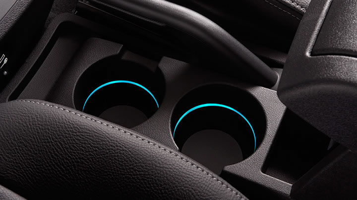 Представленная модификация может отличаться от поставляемой на российский рынок